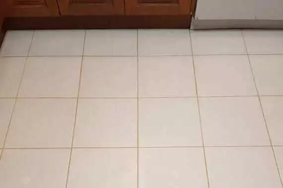 Carpet-and-Tile-Cleaner