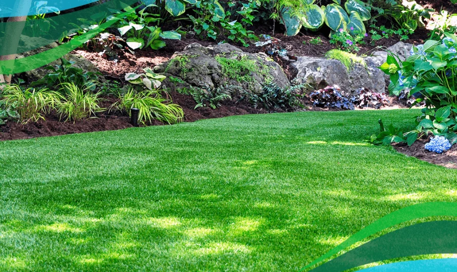 Why is Constant Lawn Care Essential for a Healthy Lawn?