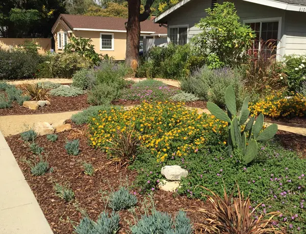 Sprinkler Repair