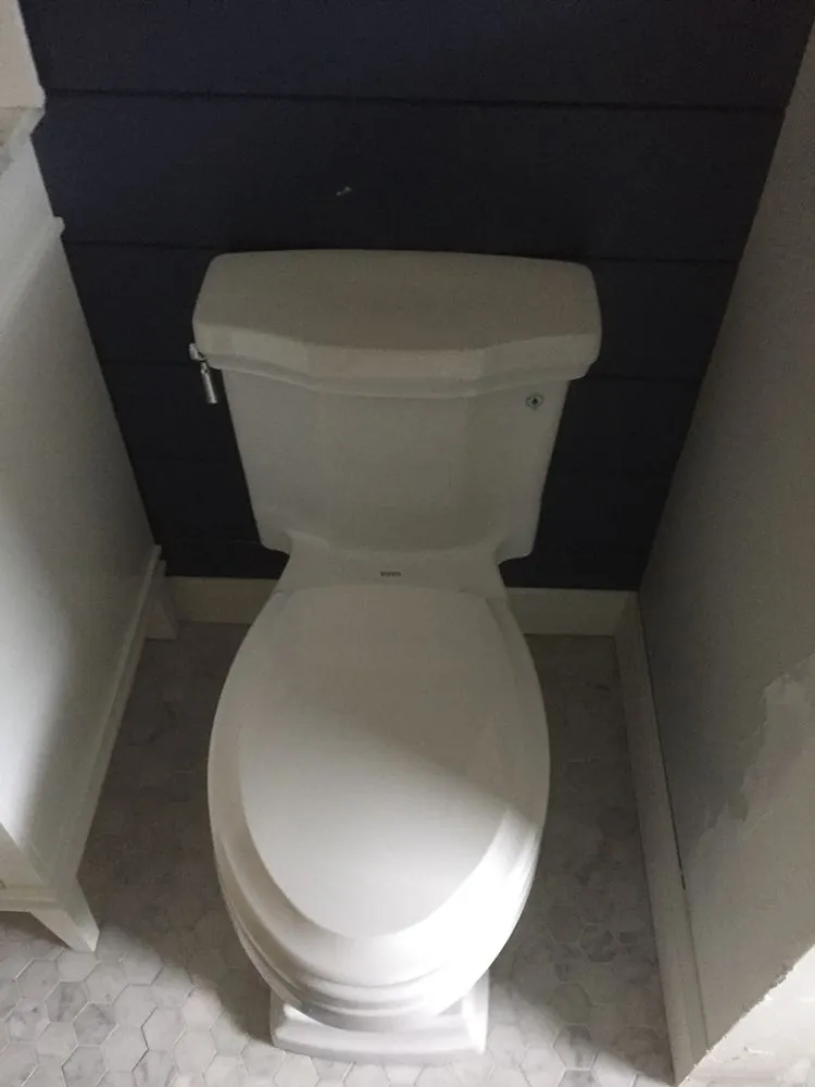clogged toilet repair