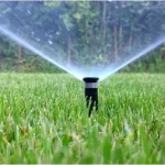 Lawn Irrigation