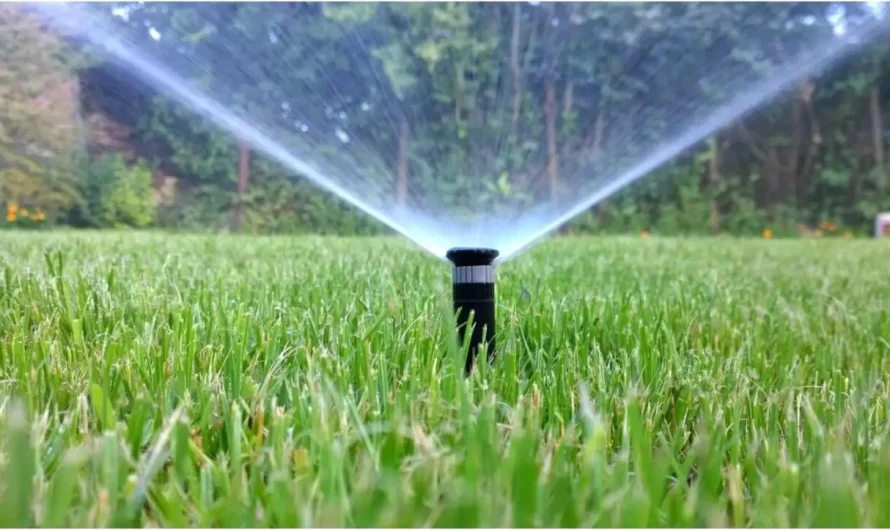 Why Is My Lawn Irrigation Uneven or Leaking—And What Can Be Done About It?